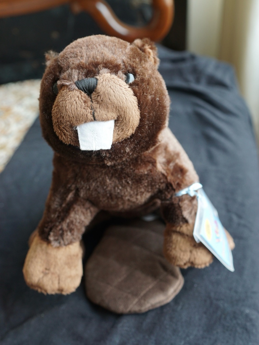 GANZ webkinz New With codes, cutest brown beaver ever.